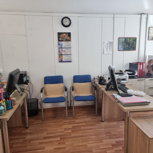 Стул-кресло Самба, каркас серебро, подлокотники бук морилка венге, обивка кож зам Galaxy Cream и Galaxy Blue - фото покупателей 2